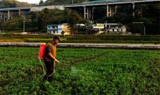 贵州毕节土著益生菌种植酵素已在全国17个省示范推广