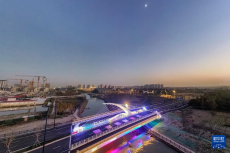 上海：平转式开启桥亮相