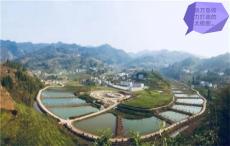 特别篇丨贵商的“太极”符号：共产党员张万登同志追记