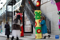 大树披“针织外衣” 北京添多彩冬景