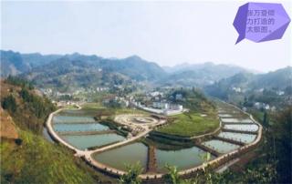 特别篇丨贵商的“太极”符号：共产党员张万登同志追记