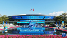 第三届中国侨智发展大会在福州举行