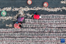 冬日海产品晾晒忙