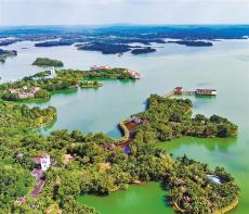 产业兴 发展快——海南省定安县掠影