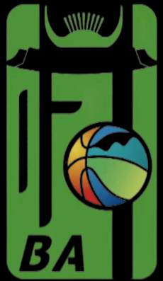 2026年“村BA”球王争霸赛全国赛开始报名!