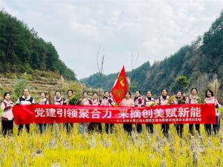 党建引领聚合力，采摘创美赋新能