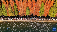 滇池：美景如画引客来