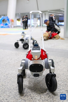 深圳地铁试点启用智能导盲犬服务