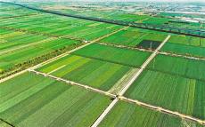 【沿着总书记的足迹】绿色富民