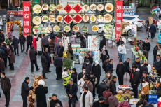 甘肃陇南：“冬至大集” 助农增收