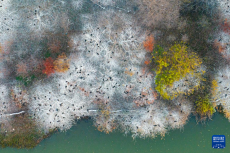 美丽中国丨日出日落画江城 杳杳长空敛云烟