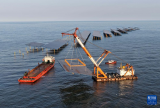 河北昌黎：海上光伏电站项目建设正酣