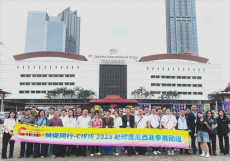 依托国际电商平台  拓展东盟出口市场  