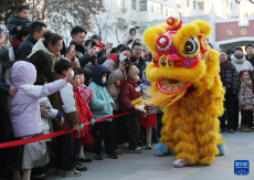 非遗传承 萌宝迎新年