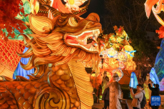 江苏南京：灯彩亮 迎新年