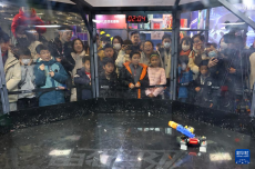 上海：假期里的机器人嘉年华