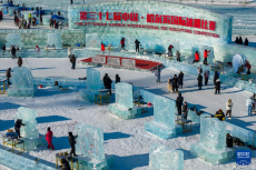第37届中国·哈尔滨国际冰雕比赛开铲