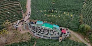 全国早茶大会暨2026年“贵州绿茶”第一采活动在普安启动