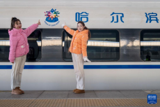 首列“哈尔滨冰雪大世界”主题高铁列车开行