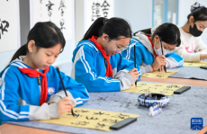 天津：传统文化进校园