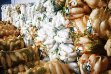 乡村振兴｜衡阳市珠晖区：“金甲猴哥”鸡萝卜走俏海外