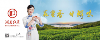 十四五“湖南红茶”为乡村振兴注入强劲动能