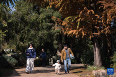 云南昆明：冬日绿意暖