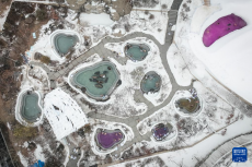 沈阳：“冰雪+温泉”引爆冬季文旅