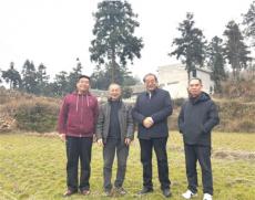 六大河报道丨毕节市老科协到黔西锦星新仁调研基地成效