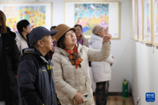 天津北辰：民间绘画勾勒乡村振兴