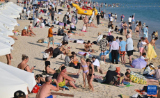 海南入境游持续火爆