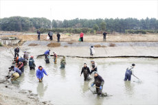 恰鱼粉 打鱼丸 竞鱼王！元月25日珠晖区干塘节喊你来捉鱼！