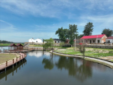 安徽郭河镇：打造“四美”乡村 为群众幸福“加码”