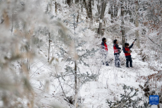 湖北：迎战寒潮保供电