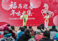 乡村“年味大集”喜迎新春