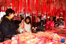 西安：年货市场年味浓