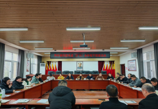 湖南邵东界岭镇：青春赋能聚合力 务虚谋实开新局