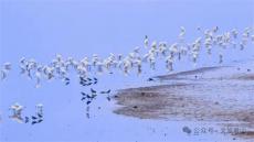 2026君山新春文旅盛宴启幕，解锁湖湘团圆新体验