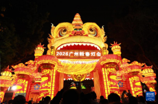 2026广州新春灯会开幕
