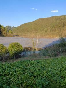 我眼中的三溪村——风雨漫漫路，殷殷赤子情