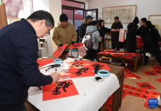 2026年圆明园新春游园会开幕