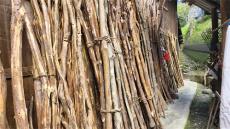 贵州山区妇女以“砍柴送暖”书写新时代传统美德   