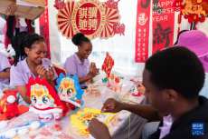 2026内罗毕中国春节庙会开幕