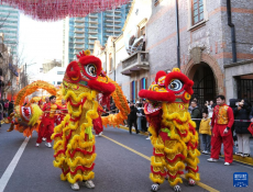 上海张园举行海派新春游园会