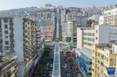 重庆巫山“神女大扶梯”开启测试运行