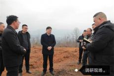 六大河报道丨李勰到杨家湾镇调研重大项目建设工作