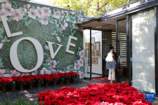 深圳迎来结婚登记高峰