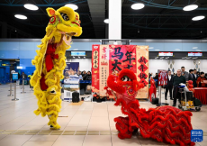 阿拉木图：机场迎春送祝福