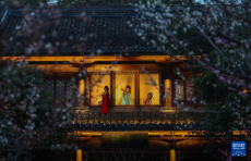 杭州赏梅胜地开启特色夜游赏梅活动