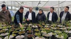 六大河丨毕节市老科协观摩交流共推兰花产业高质量发展